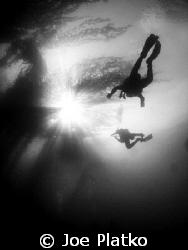 we had an amazing day at monastery beach today, with vis ... by Joe Platko 